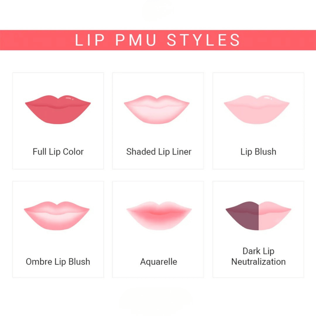 Soft, Contoured ve Ombré lip blush teknikleri şeması