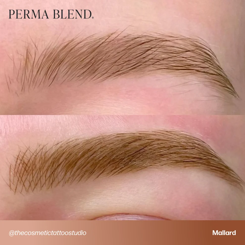 Perma Blend