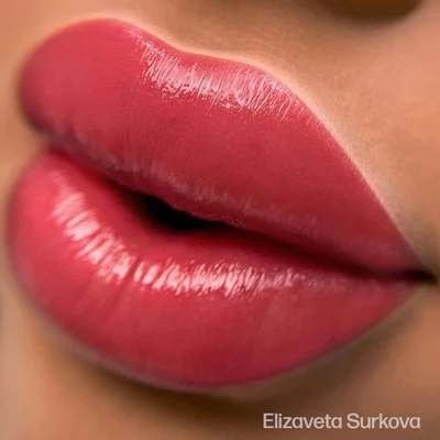 Perma Blend Evenflo Lip Set 5'li Dudak Pigment Seti 5x15ml Perma Blend Evenflo Lip Set 5'li Dudak Pigment Seti 5x15ml