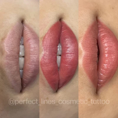 Perma Blend Evenflo Lip Set 5'li Dudak Pigment Seti 5x15ml Perma Blend Evenflo Lip Set 5'li Dudak Pigment Seti 5x15ml