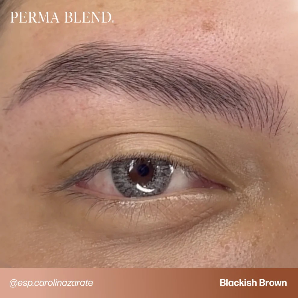 Perma Blend Light to Dark Eyebrow Mini Set 4'lü Kaş Pigment Seti 4x15ml Perma Blend Light to Dark Eyebrow Mini Set 4'lü Kaş Pigment Seti 4x15ml