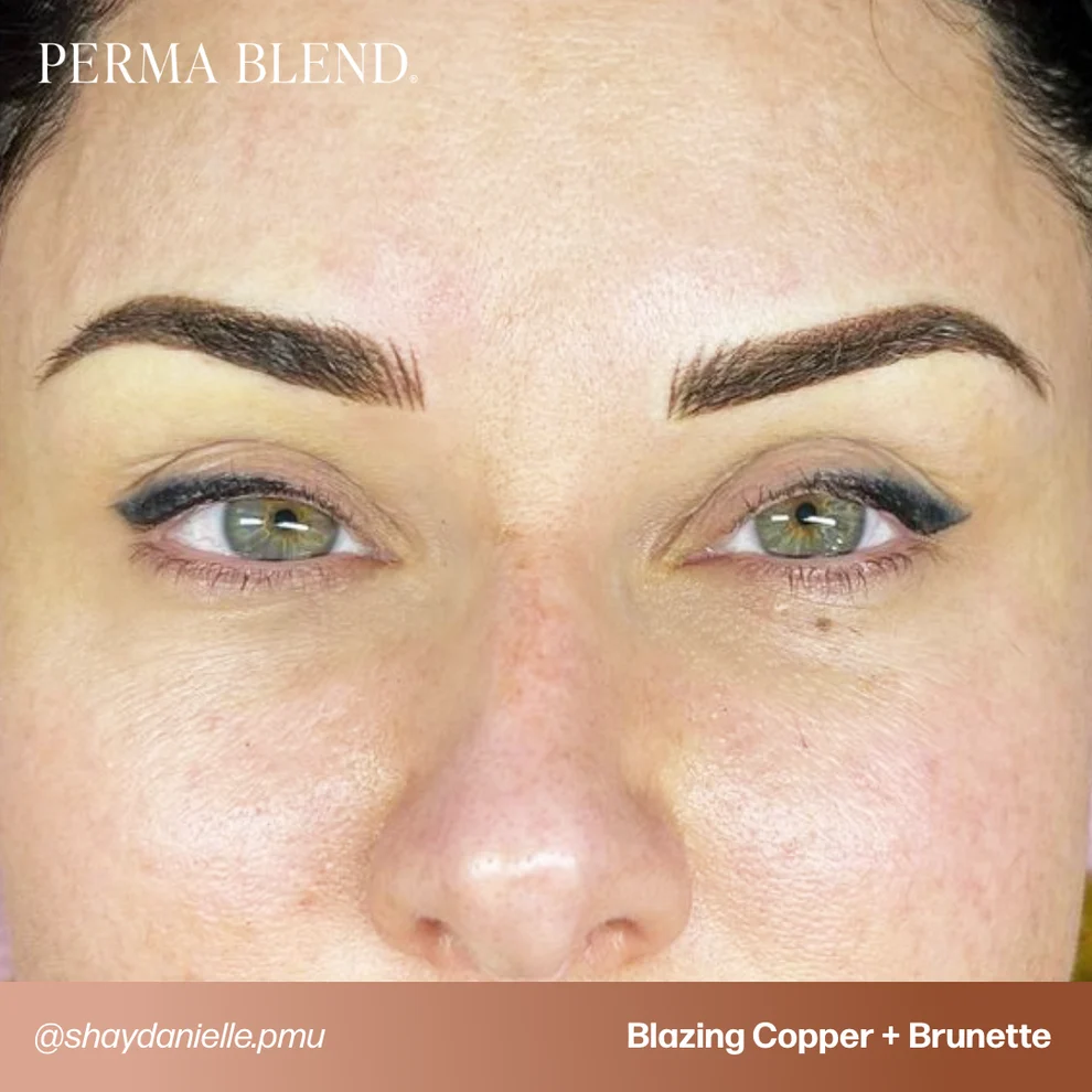 Perma Blend Light to Dark Eyebrow Mini Set 4'lü Kaş Pigment Seti 4x15ml Perma Blend Light to Dark Eyebrow Mini Set 4'lü Kaş Pigment Seti 4x15ml