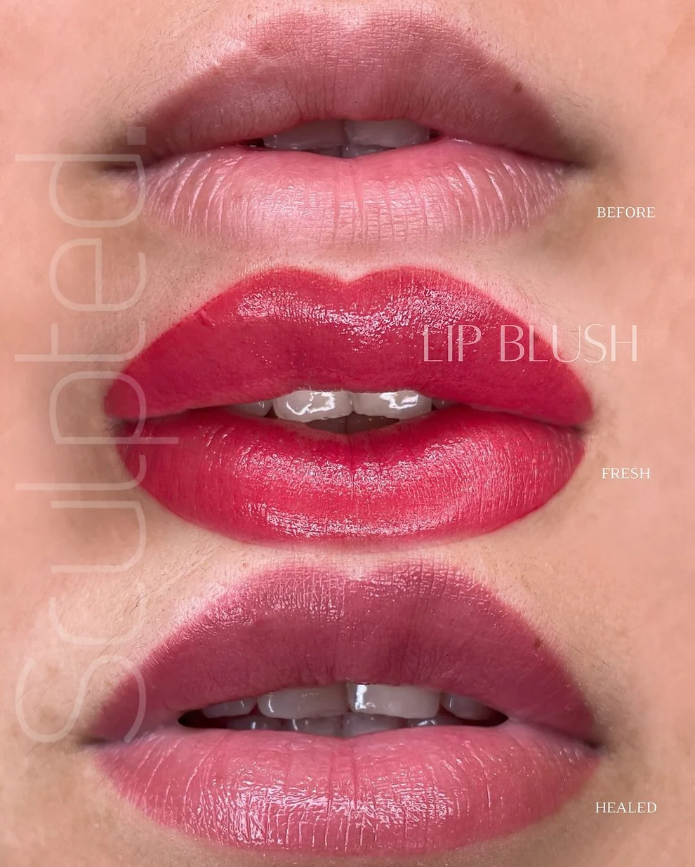 Perma Blend LUXE Carla Ricciardone Base 4 Kırmızı Dudak Nötralizasyon Baz Pigmenti 15ml Perma Blend LUXE Carla Ricciardone Base 4 Kırmızı Dudak Nötralizasyon Baz Pigmenti 15ml