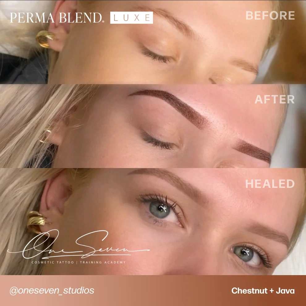 Perma Blend LUXE Chestnut V2 Sıcak Orta Kahve Kaş Pigmenti 15ml Perma Blend LUXE Chestnut V2 Sıcak Orta Kahve Kaş Pigmenti 15ml