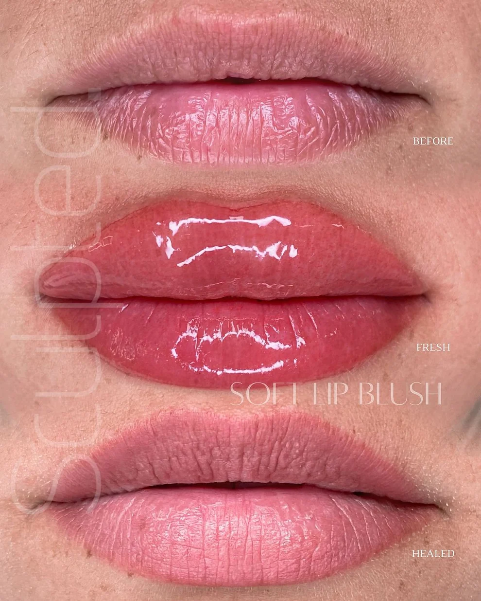 Perma Blend LUXE Carla Ricciardone Gin Sıcak-Nötr Mercan Dudak Pigmenti 15ml Perma Blend LUXE Carla Ricciardone Gin Sıcak-Nötr Mercan Dudak Pigmenti 15ml