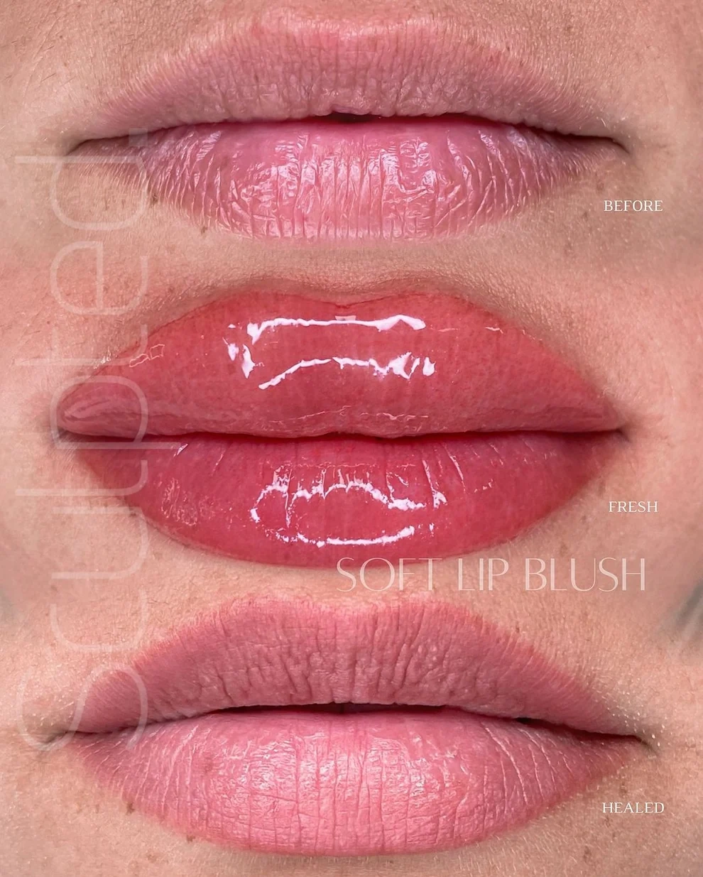 Perma Blend LUXE Glam Sıcak-Nötr Canlı Pembe Dudak Pigmenti 15ml Perma Blend LUXE Glam Sıcak-Nötr Canlı Pembe Dudak Pigmenti 15ml