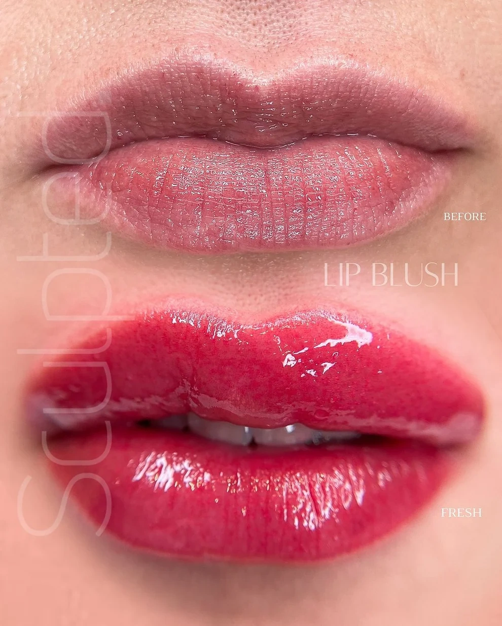 Perma Blend LUXE Joy Soğuk-Nötr Gül Kırmızısı Dudak Pigmenti 15ml Perma Blend LUXE Joy Soğuk-Nötr Gül Kırmızısı Dudak Pigmenti 15ml