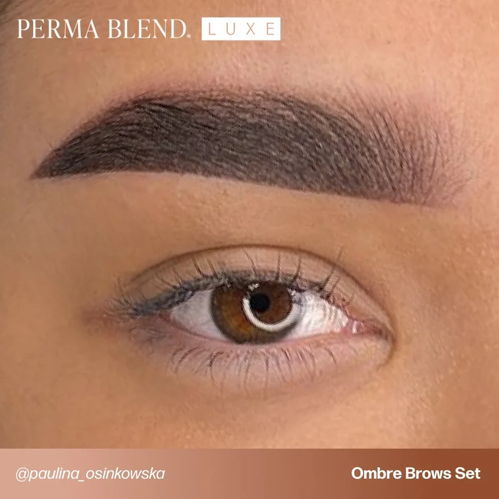 Perma Blend LUXE Paulina Osinkowska Ombre Brows 6'lı Kaş Pigment Seti 6x15ml Perma Blend LUXE Paulina Osinkowska Ombre Brows 6'lı Kaş Pigment Seti 6x15ml