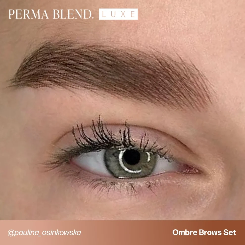 Perma Blend LUXE Paulina Osinkowska Ombre Brows 6'lı Kaş Pigment Seti 6x15ml Perma Blend LUXE Paulina Osinkowska Ombre Brows 6'lı Kaş Pigment Seti 6x15ml
