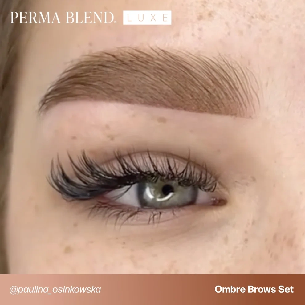 Perma Blend LUXE Paulina Osinkowska Ombre Brows 6'lı Kaş Pigment Seti 6x15ml Perma Blend LUXE Paulina Osinkowska Ombre Brows 6'lı Kaş Pigment Seti 6x15ml