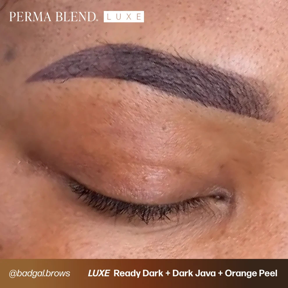 Perma Blend LUXE Ready Set Go Pre-Modified 6'lı Kaş Pigment Seti 6x15ml Perma Blend LUXE Ready Set Go Pre-Modified 6'lı Kaş Pigment Seti 6x15ml