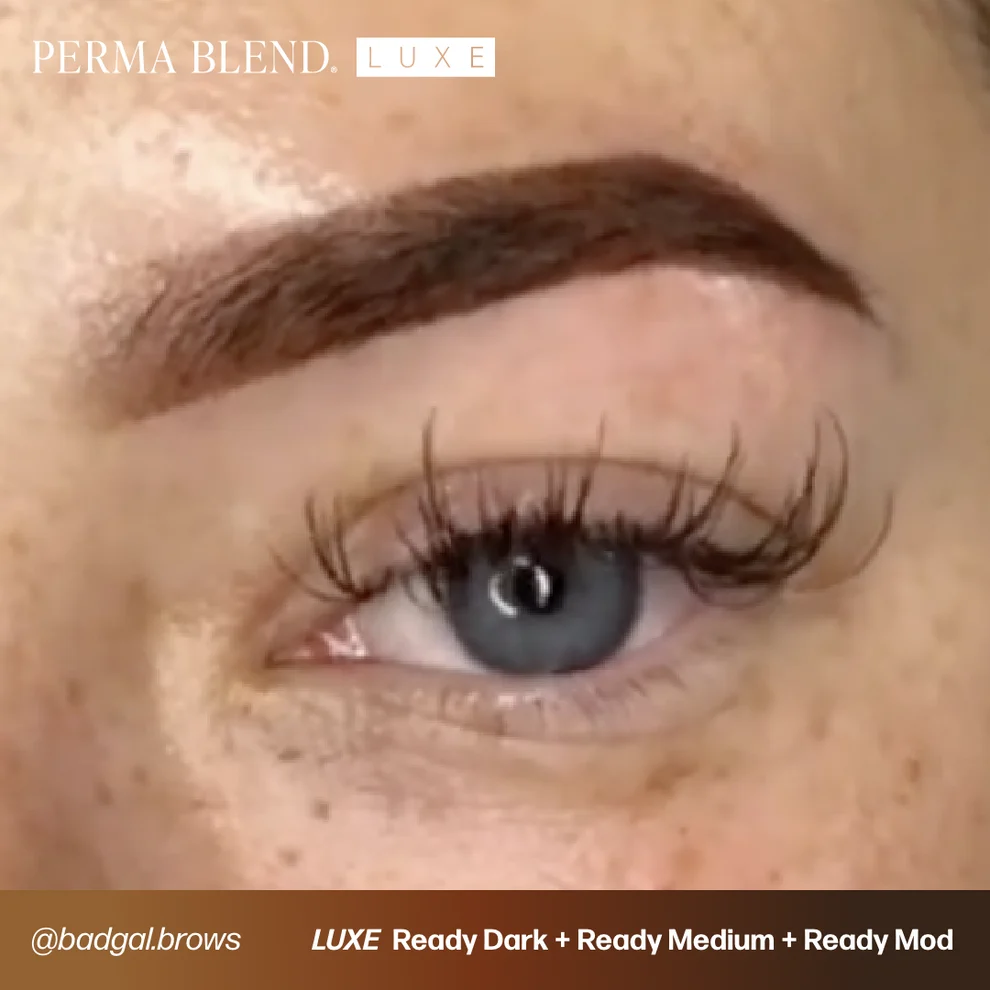 Perma Blend LUXE Ready Set Go Pre-Modified 6'lı Kaş Pigment Seti 6x15ml Perma Blend LUXE Ready Set Go Pre-Modified 6'lı Kaş Pigment Seti 6x15ml