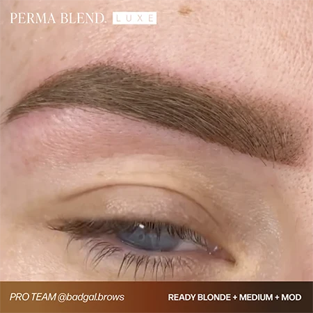 Perma Blend LUXE Ready Set Go Pre-Modified 6'lı Kaş Pigment Seti 6x15ml Perma Blend LUXE Ready Set Go Pre-Modified 6'lı Kaş Pigment Seti 6x15ml