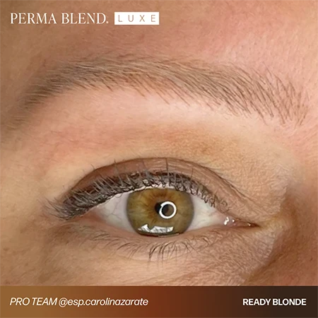 Perma Blend LUXE Ready Set Go Pre-Modified 6'lı Kaş Pigment Seti 6x15ml Perma Blend LUXE Ready Set Go Pre-Modified 6'lı Kaş Pigment Seti 6x15ml