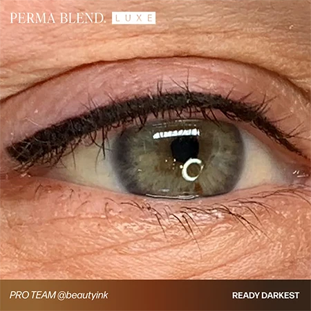 Perma Blend LUXE Ready Set Go Pre-Modified 6'lı Kaş Pigment Seti 6x15ml Perma Blend LUXE Ready Set Go Pre-Modified 6'lı Kaş Pigment Seti 6x15ml