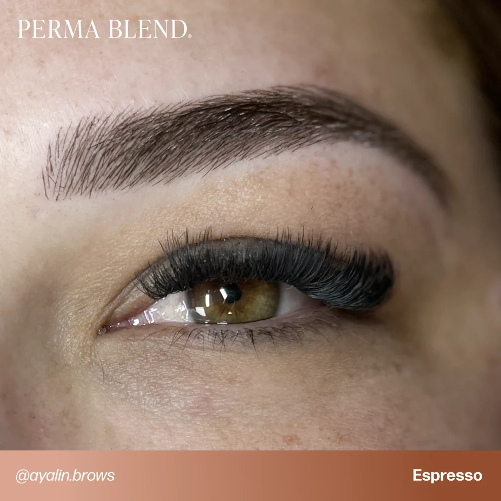 Perma Blend Signature Brow Set 8'li Kaş Pigment Seti 8x15ml Perma Blend Signature Brow Set 8'li Kaş Pigment Seti 8x15ml