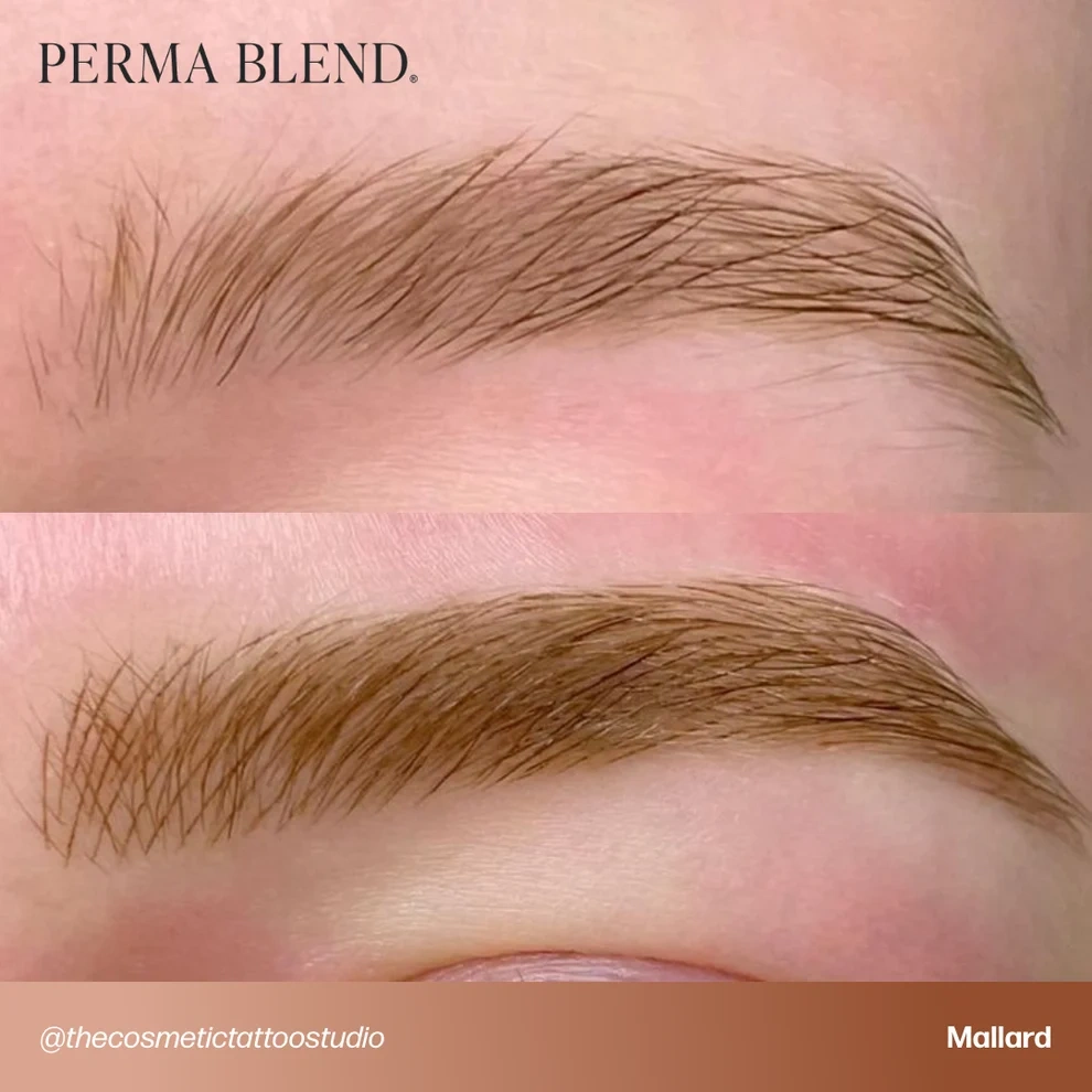 Perma Blend Signature Brow Set 8'li Kaş Pigment Seti 8x15ml Perma Blend Signature Brow Set 8'li Kaş Pigment Seti 8x15ml