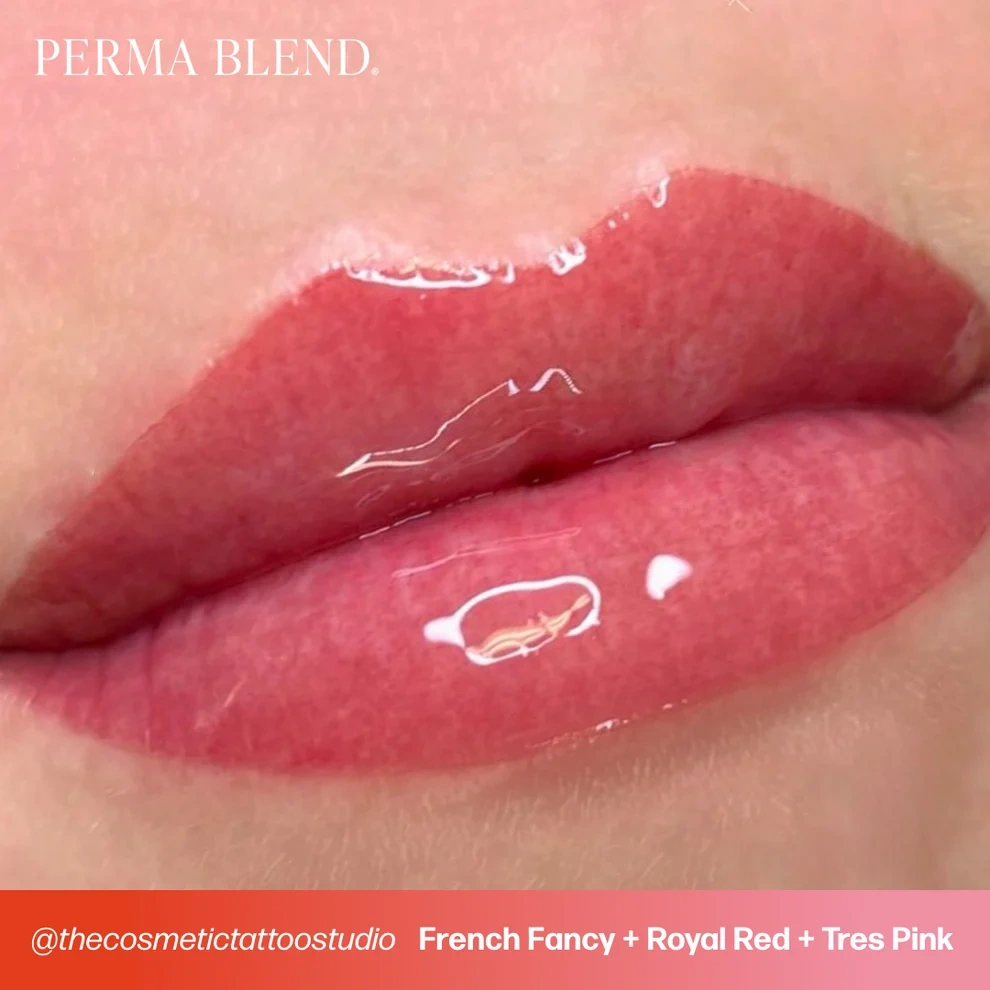 Perma Blend Sweet Lip Kit 7'li Dudak Seti 6 Pigment + Thick Shading Solution 7x15ml Perma Blend Sweet Lip Kit 7'li Dudak Seti 6 Pigment + Thick Shading Solution 7x15ml